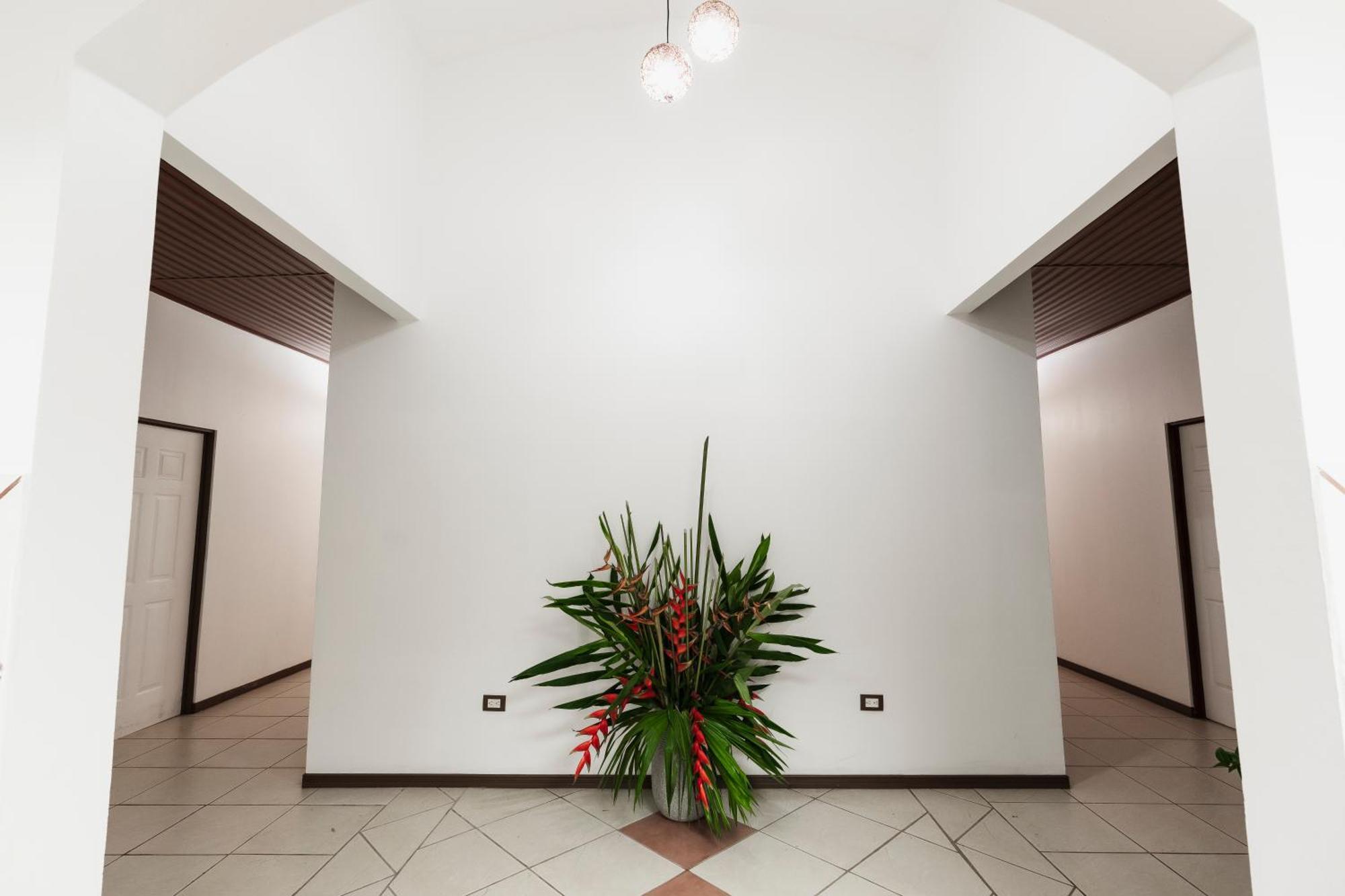 Ukinca B&B Uvita Zewnętrze zdjęcie